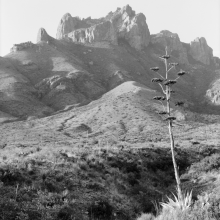 TK-80-BW-70-G Chisos Mountains, Big Bend NP, Texas