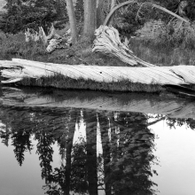 TK-81-BW-76-G Yellowstone NP, Wyoming